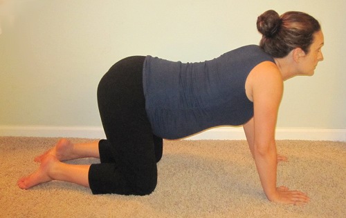 28 Best Photos Cat Cow Yoga Pose Pregnancy : Best Yoga Poses During the Second Trimester