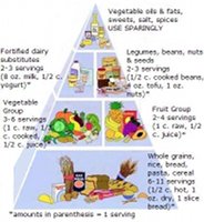 Small Vegan Food Pyramid